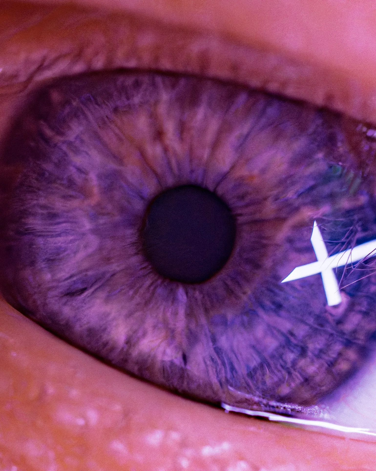 Macro shot of an iris in violet light, with a white X made of two LED lights reflected in it