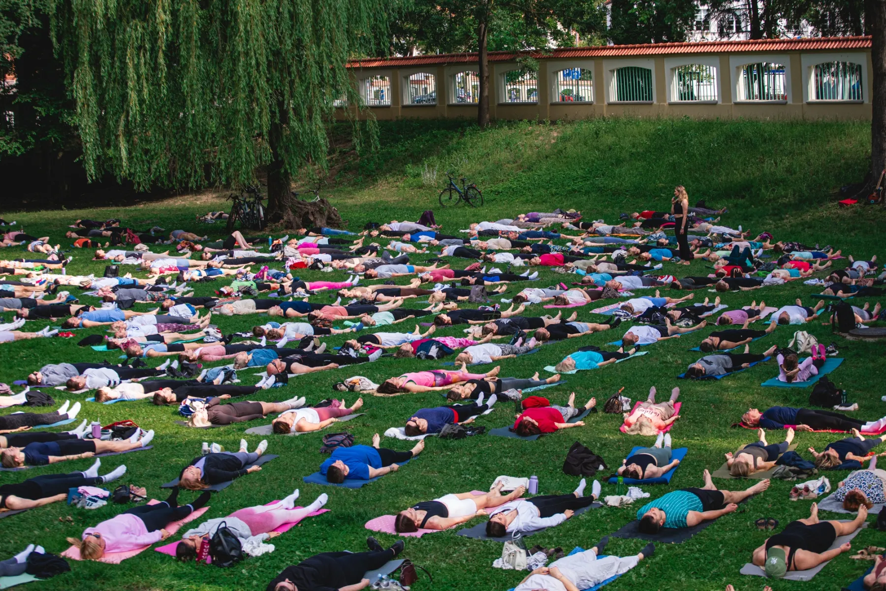 Hundreds of people lying on mats on the grass in the Lower Garden of the Branicki Palace, with a weeping willow and an arcaded wall behind them