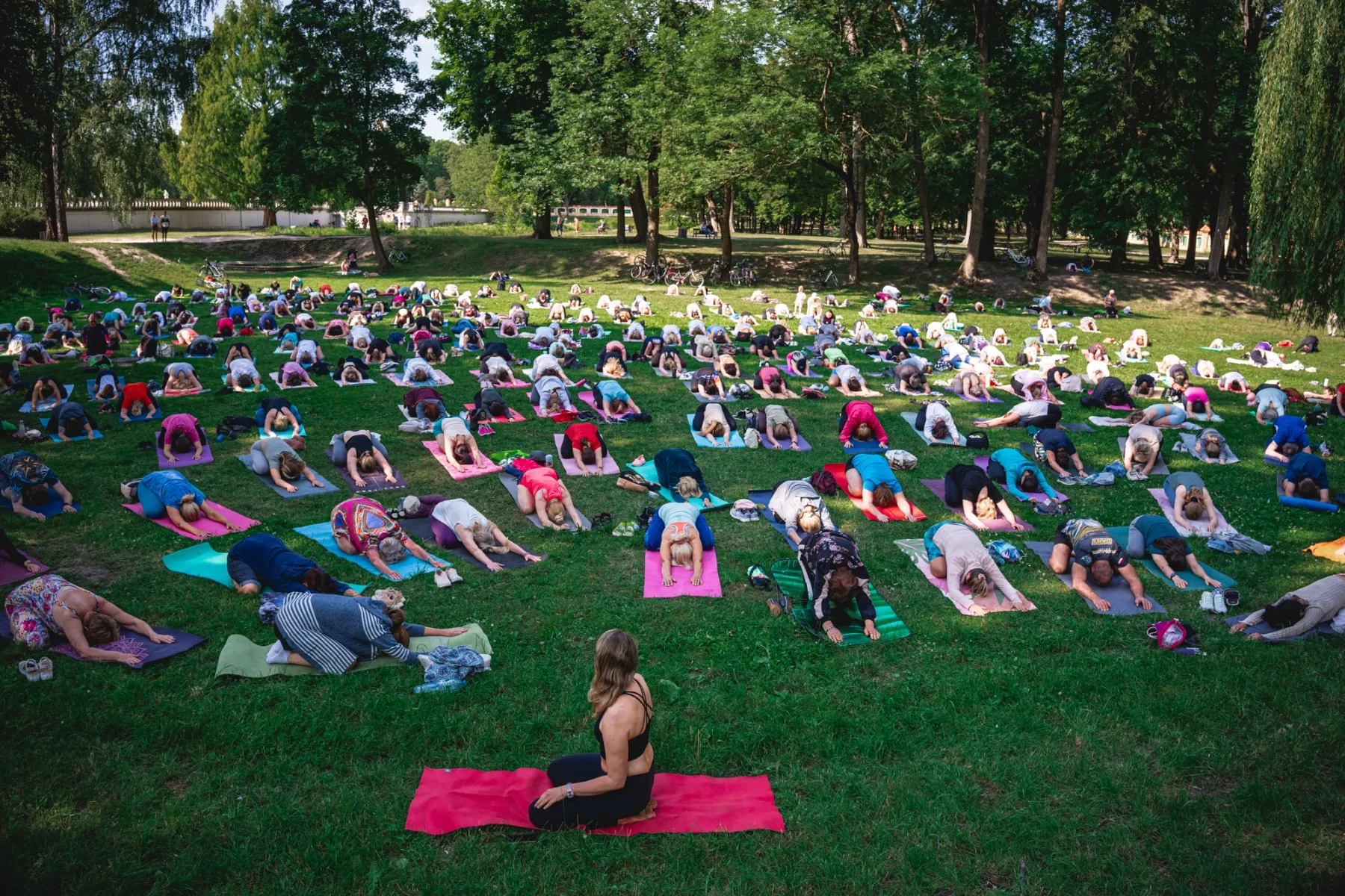 Wide shot: rows of people on mats under the park's tall trees, a woman seated on a pink mat in the foreground