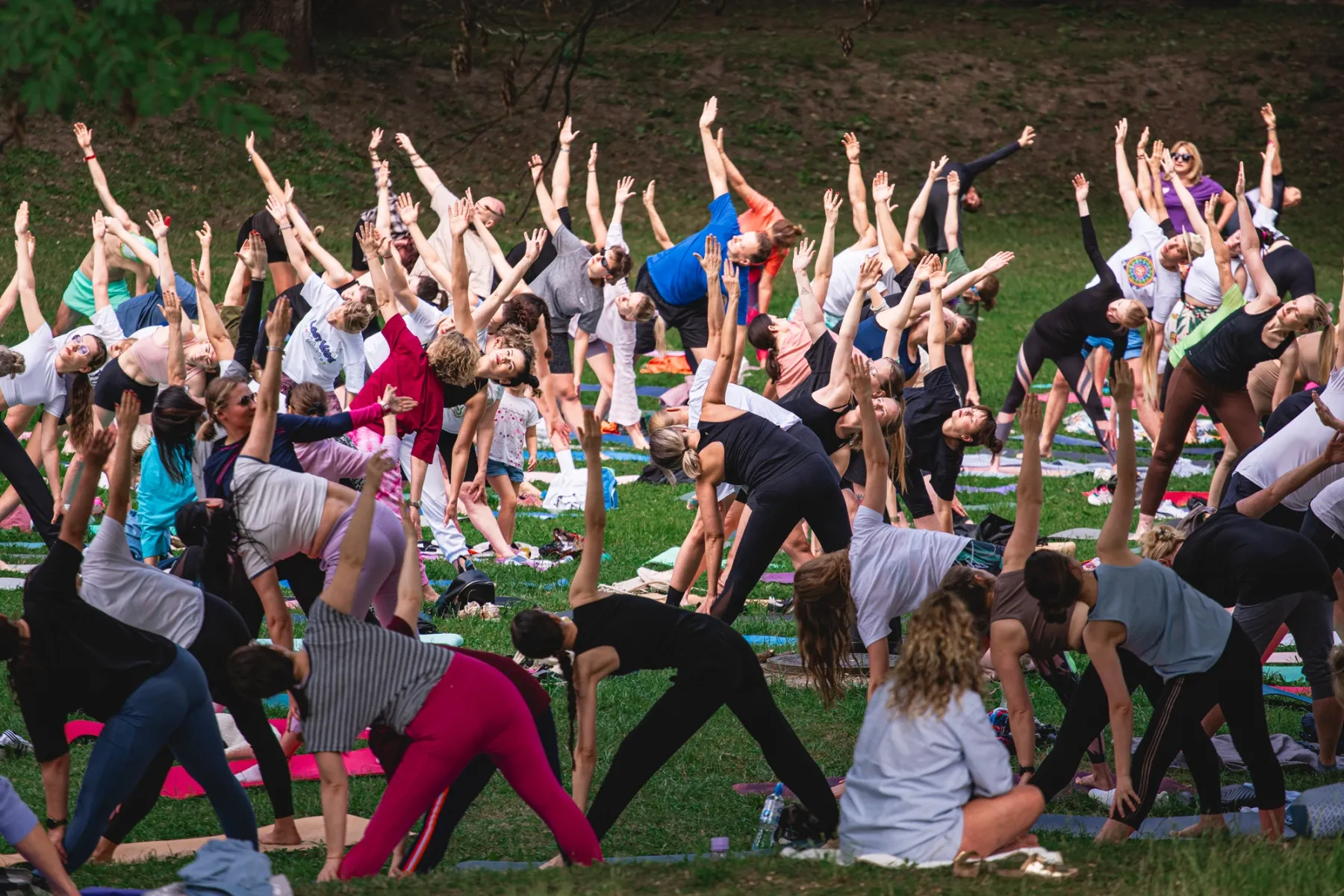 A dense crowd in triangle pose, each with one arm stretched up