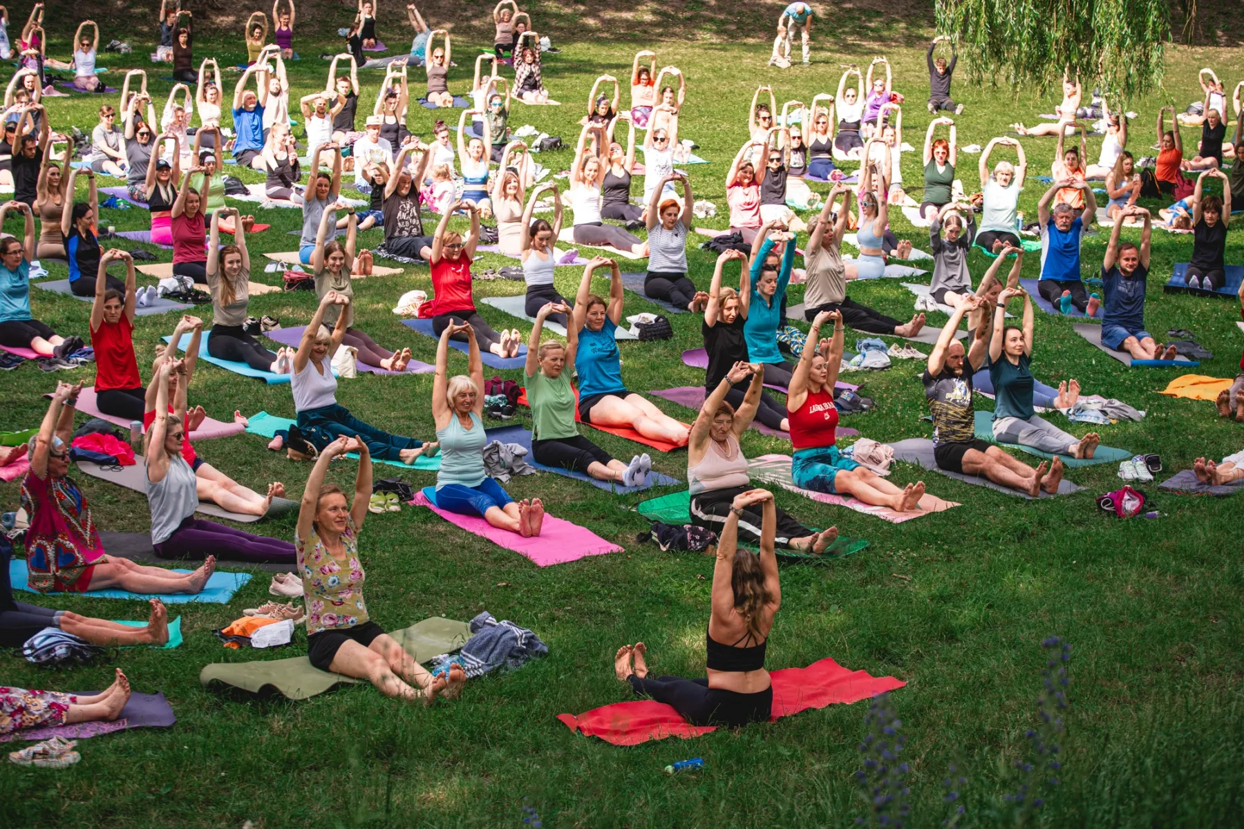 Participants sitting on their mats, all raising clasped hands above their heads at once