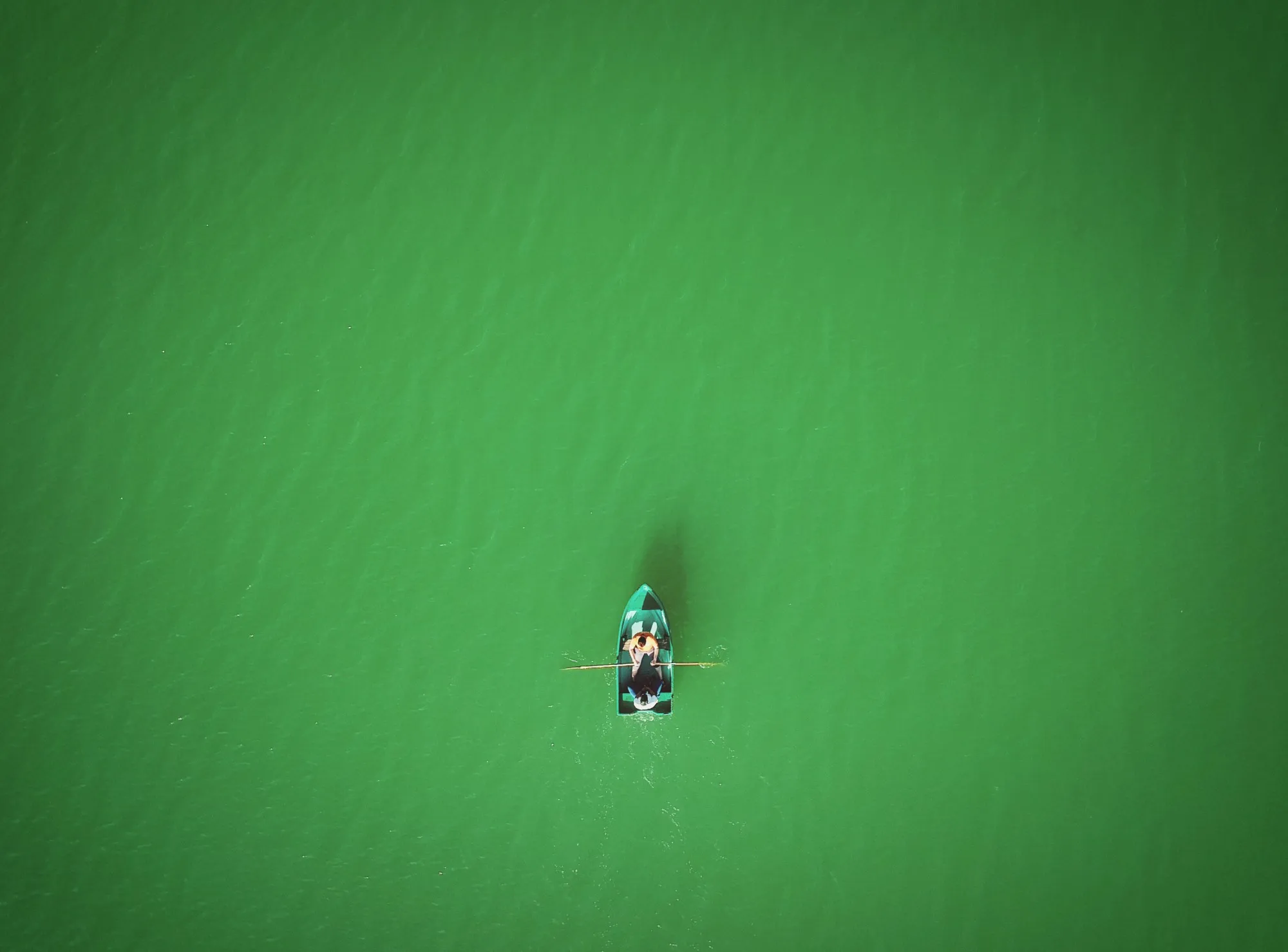 A lone rowboat with a rower on flat green water, seen from above