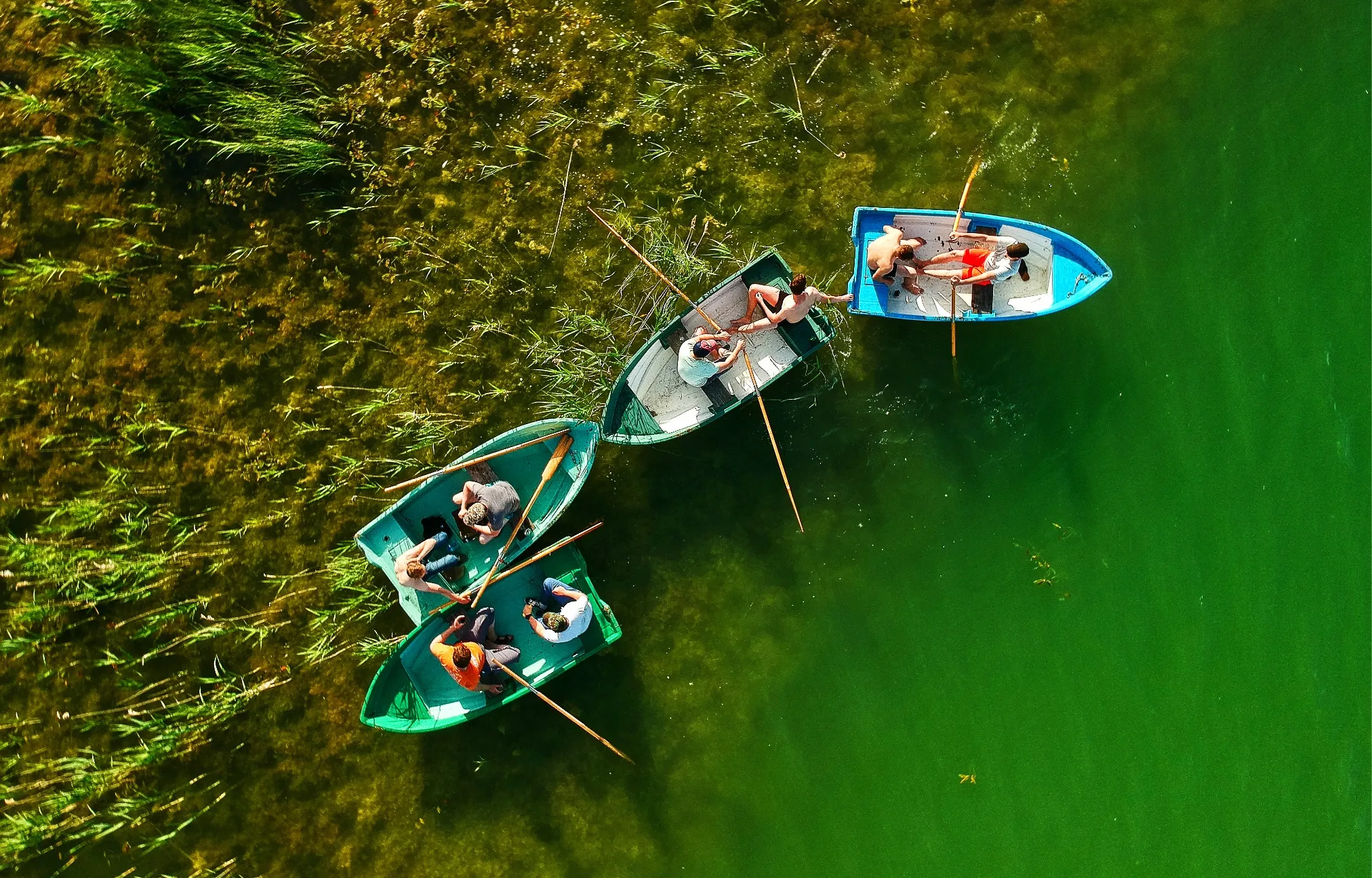 Four rowboats with people next to reeds on green water, seen from above
